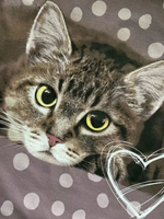 Постельное белье 2 спальное, простыня евро 220х240, бязь, 100% хлопок, наволочки 70х70, постельное белье с котиками