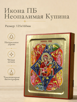 Икона Пресвятой Богородицы, Неопалимая Купина на дереве: 125 х 160 (Синопсисъ)
