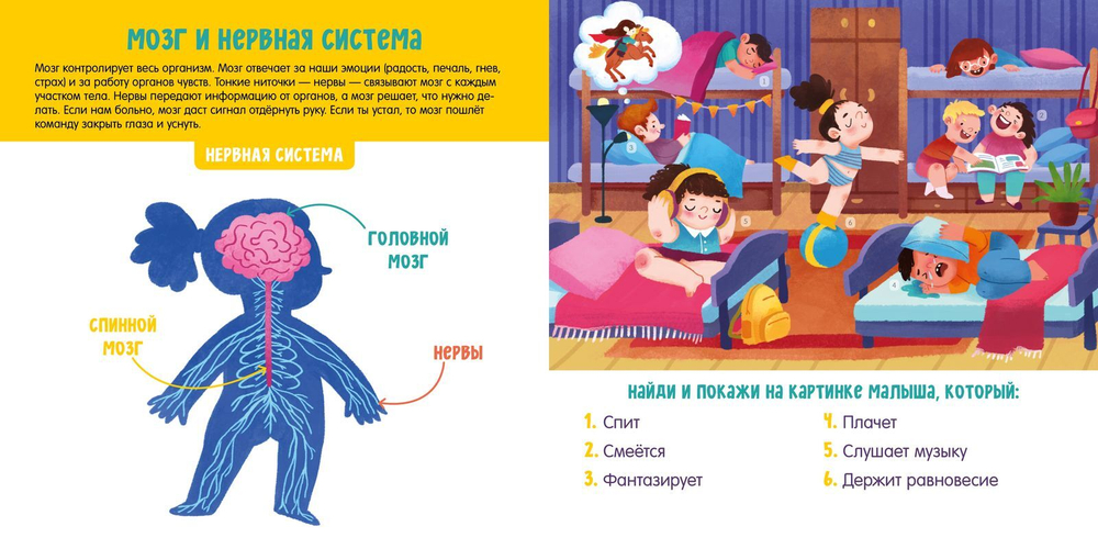 Мое тело. Визуальный словарь
