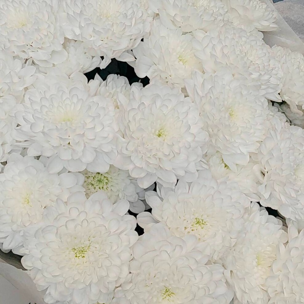 Соберу букет №181