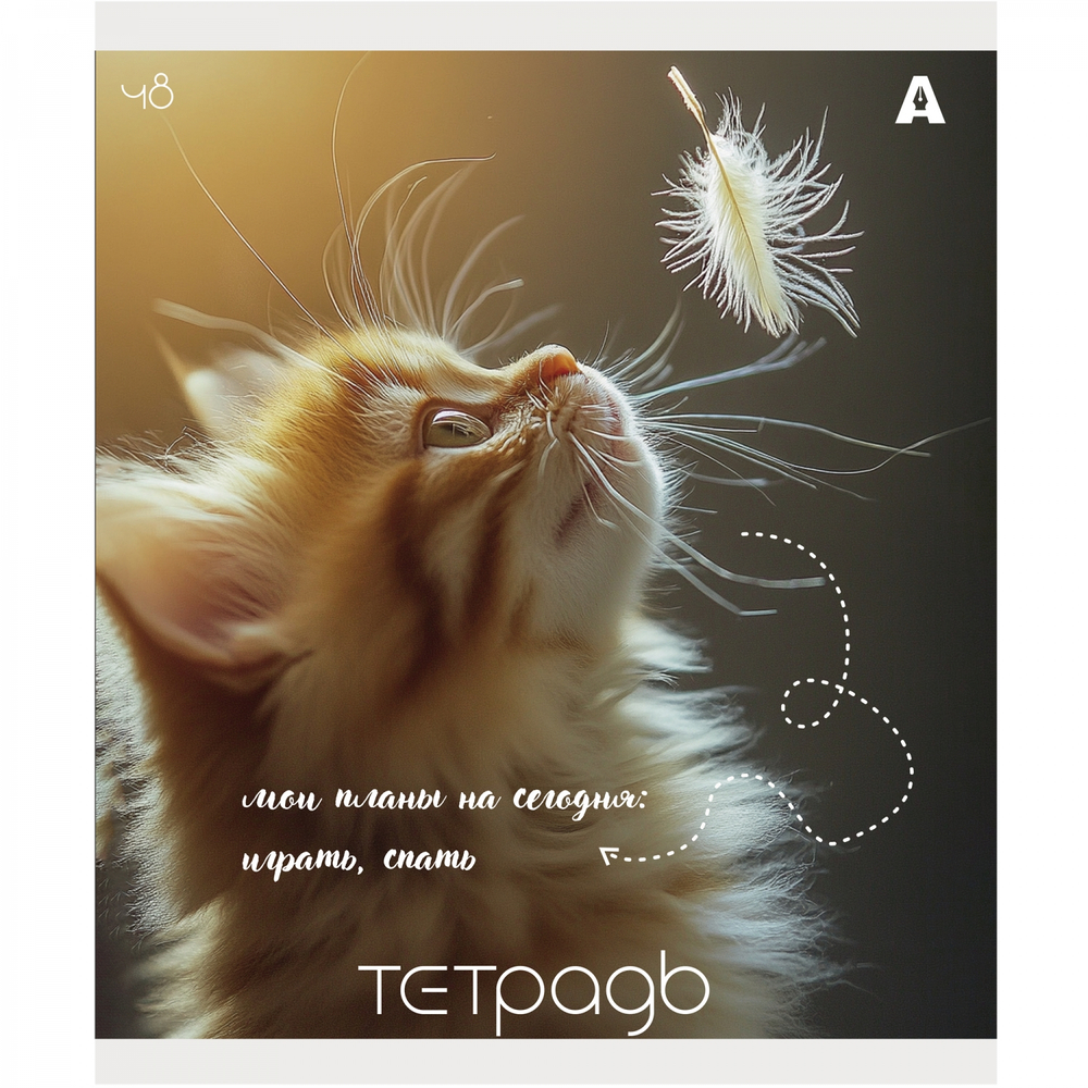 Тетрадь 48л., А5, клетка, Alingar "Кошки", скрепка, мелованый картон ( стандарт), блок офсет, 5 дизайнов в пленке т/у