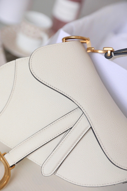 Christian Dior Saddle Bag 21 cm