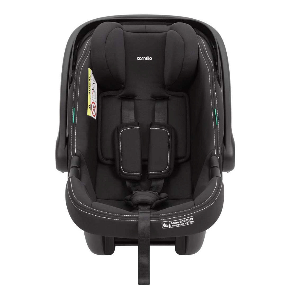 Коляска Carrello Vector CRL-6550 Ammonite AY329 Pro Absolute Black с базой Isofix 3 в 1 Landscape Grey