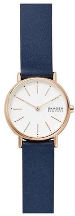 Женские наручные часы Skagen SKW2838