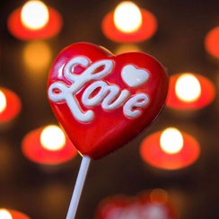 691 | Форма для шоколадных изделий (275*175 мм)