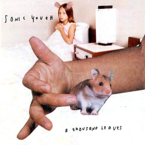Sonic Youth / A Thousand Leaves (2LP)