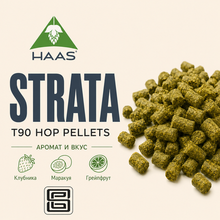 STRATA