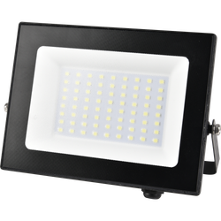 Прожектор светодиодный уличный ЭРА PRO LPR-062-0-65K-050 50Вт 6500К 5000лм IP65 призма