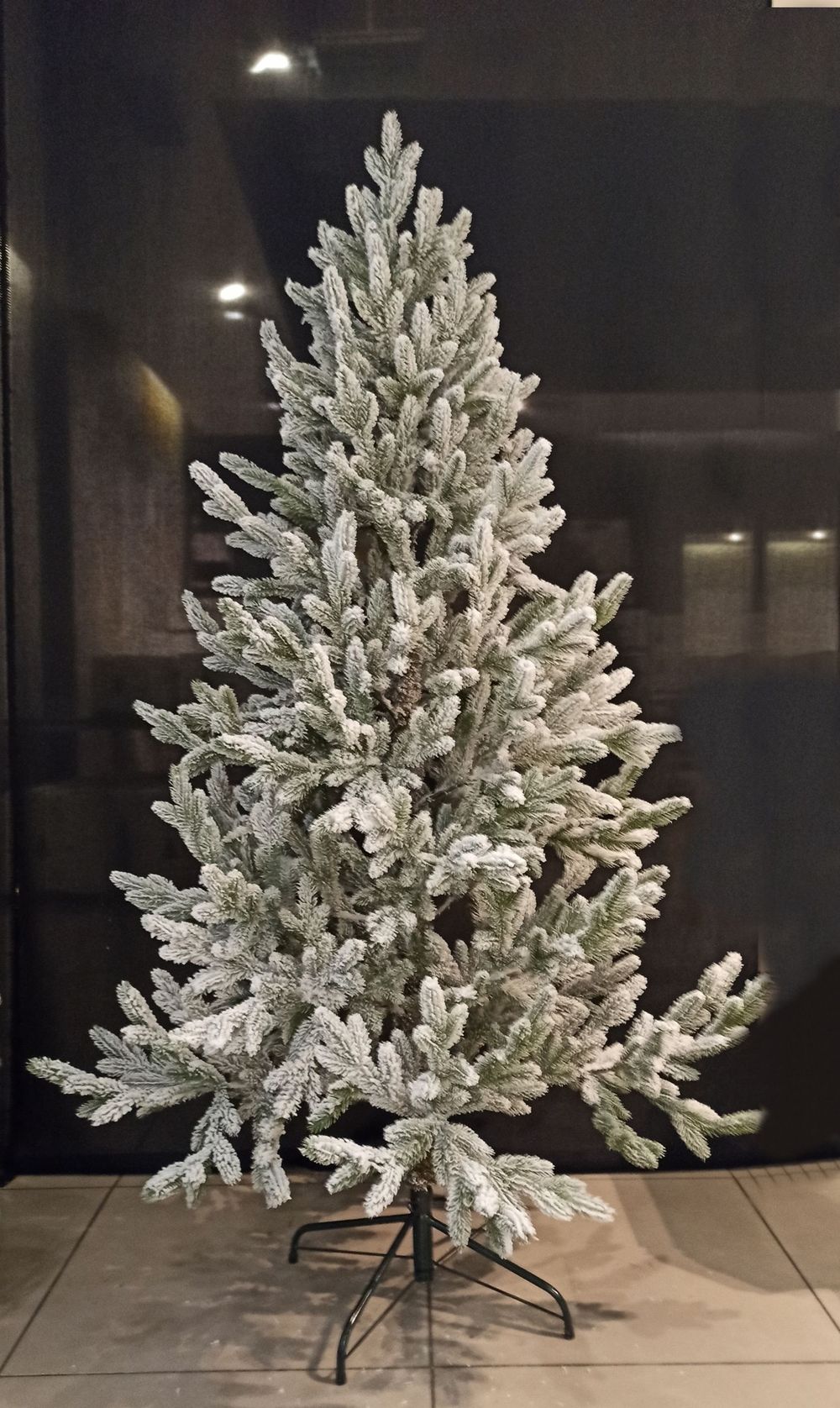 Ель заснеженная «Нордман» (Литая хвоя) от 1.2 до 2.4 м