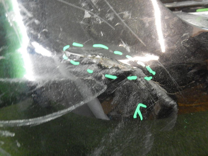 DSCN6743.JPG