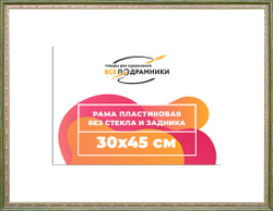 Рама 30x45 для картин и фотографий
