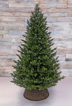 Ель 185см Black Box Датская 100% литая зеленая