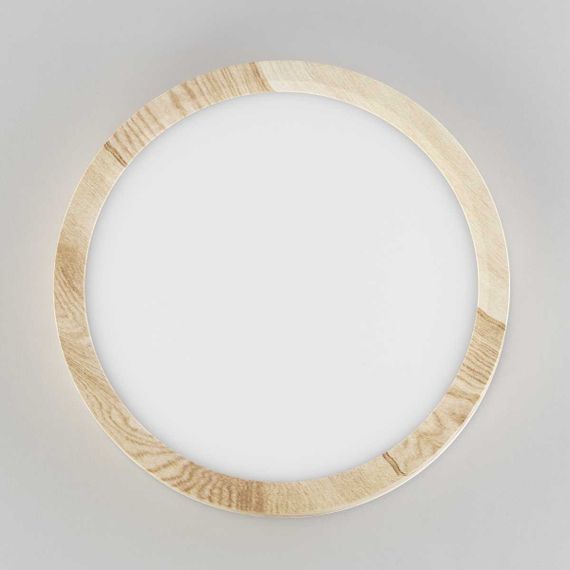 Светильник накладной Citilux Бейсик CL738122N