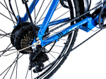 Электровелосипед Elbike Galant BIG