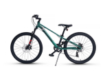 Maxiscoo "7BIKE" 24'' M300 (2024)