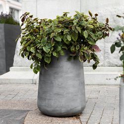 Кашпо CONE CONCRETE GREY LIGHT D50 H54