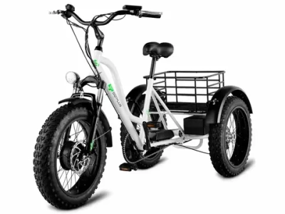 Электрофэтбайк Super Cross 73R