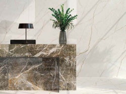 FORTE DEI MARMI QUARK