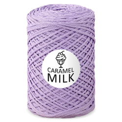 Шнур Caramel Milk, 3мм, 300м, 100% полиэфир (1 шт.)