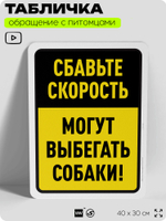 Табличка "Сбавьте скорость, могут выбегать собаки" на дверь и забор, для двора, дома, подъезда, 40х30 см, Silver Plane x Айдентика Технолоджи