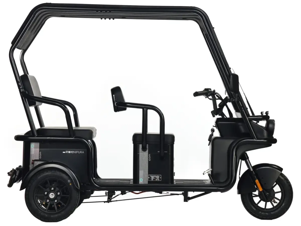 Электротрицикл Wanshida NIPLA 570 60V 1000Вт