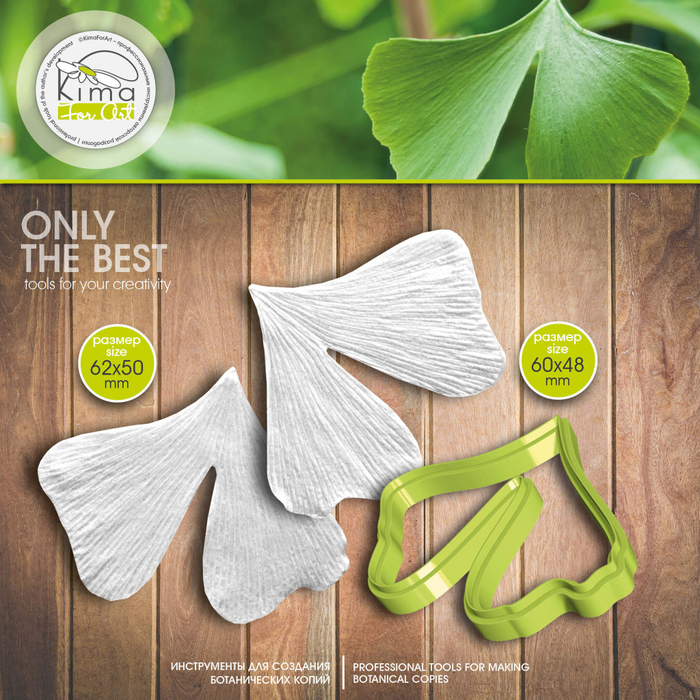 Гинкго лист большой