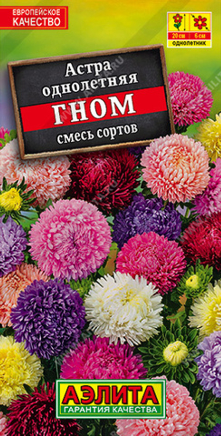 Астра Гном, смесь сортов 0,2гр Карликовая Аэлита