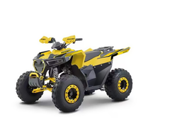 Квадроцикл FAIDET MAGOTAN 150