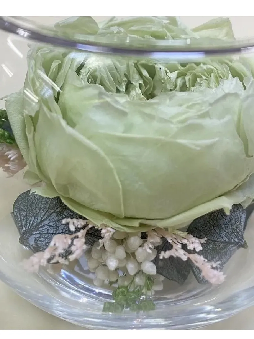 натуральный пион в стекле, вакуум*