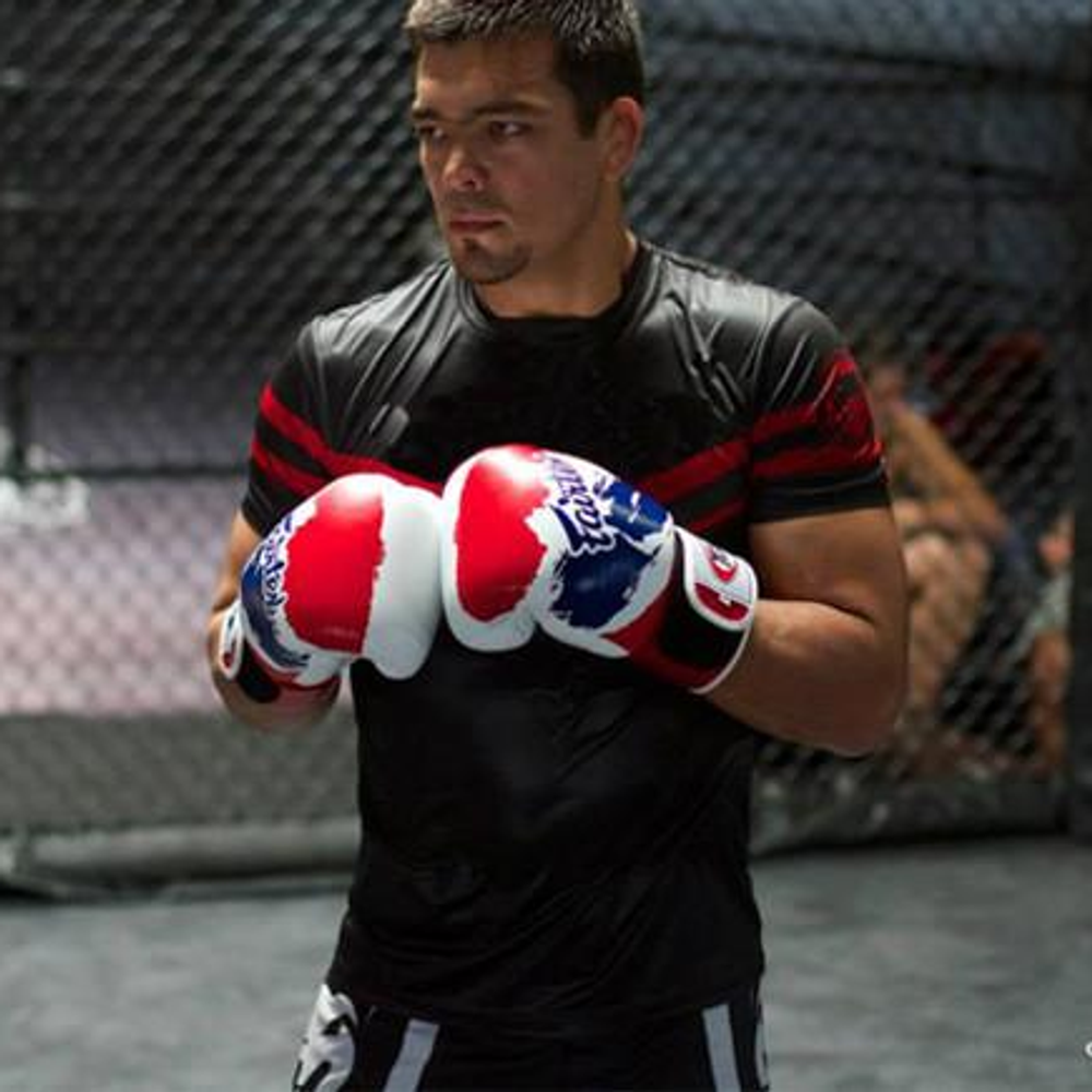 Перчатки боксерские Fairtex BGV1 Thai Pride 14 OZ