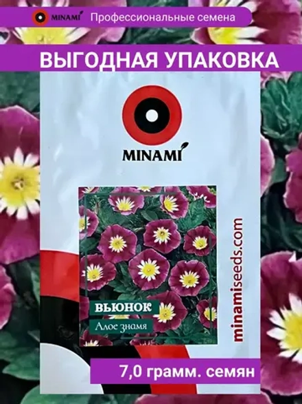 Вьюнок Алое знамя