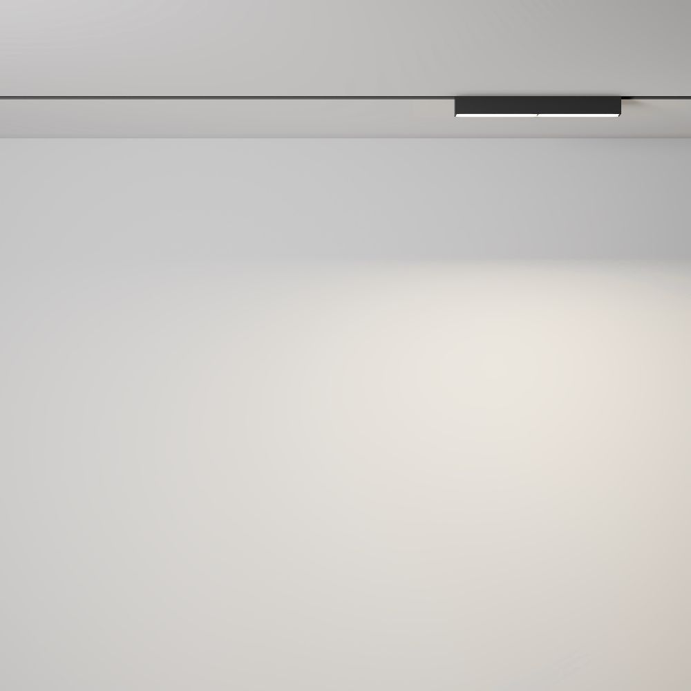 Трековый магнитный светодиодный светильник Maytoni   TR106-2-12W3K-B