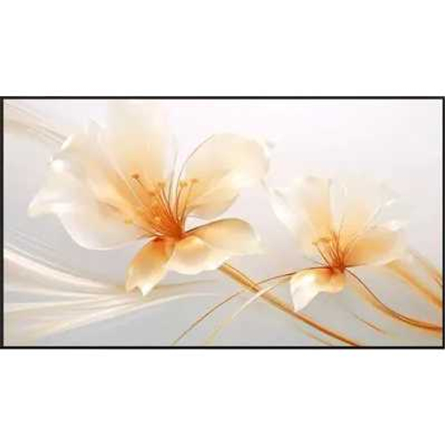 Экран для проектора Xgimi P165S