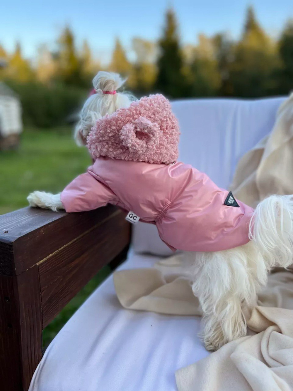 Куртка для собак (девочка)