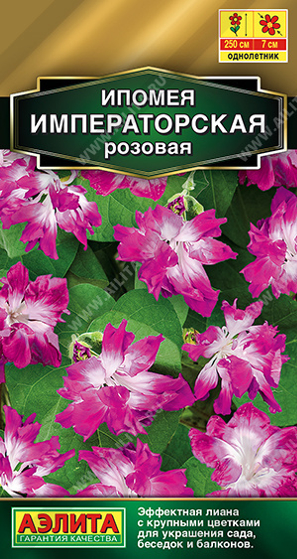 Ипомея Императорская розовая 9шт Аэлита