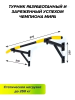 Турник Настенный AKTIV Черный