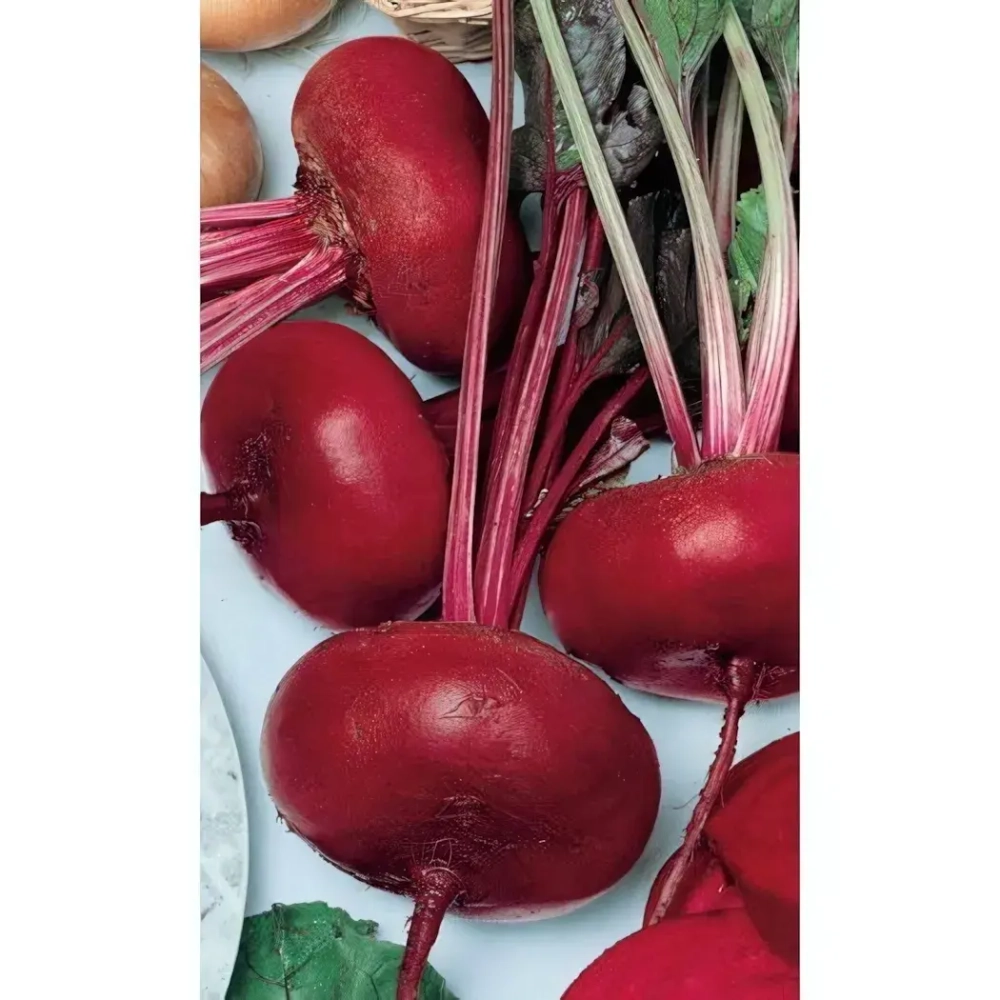 Семена Свекла Египетская Плоская (Марс) Б/П