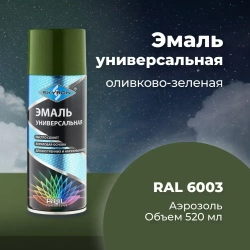 Эмаль универсальная SKYRON акриловая оливково-зелёная (RAL 6003), 520 мл./ SR-16003