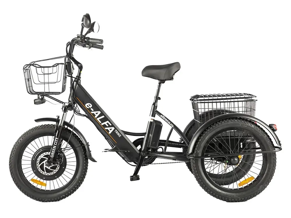Электровелосипед GREEN CITY e-ALFA Trike (черный)