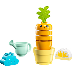 LEGO DUPLO Моя первая — растущая морковь (10981) / артикул   10981  / GTIN 5702017416151