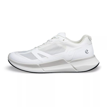 Кроссовки мужские ECCO BIOM 2.2 M