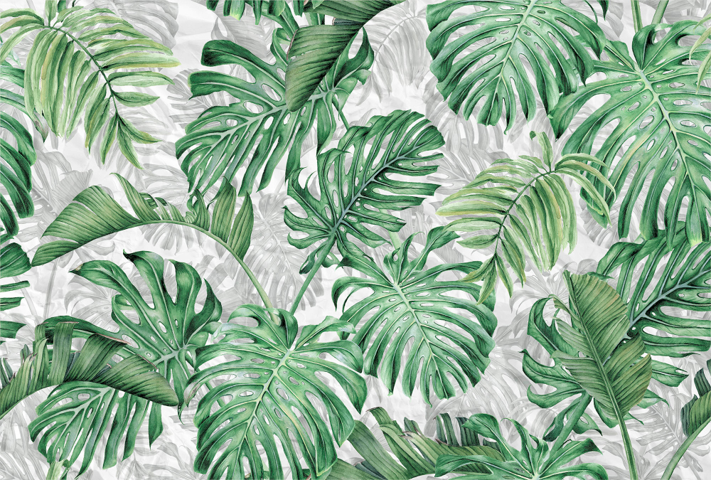 Коллекция SELVA