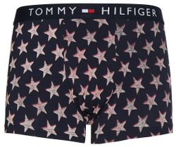 Мужские спортивные боксеры Tommy Hilfiger Trunk Print 1P - разноцветный