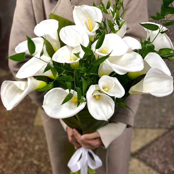 Каллы - символ элегантности и чистоты. Почему эти цветы выбирают в Алматы? Каллы - символ элегантности и чистоты. Почему эти цветы выбирают в Алматы?