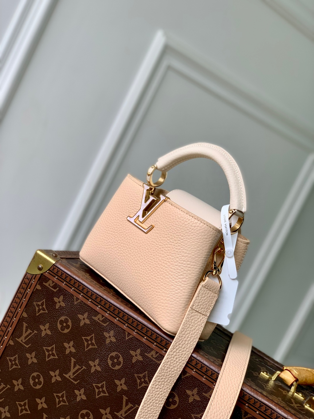 Louis Vuitton Capucines Mini