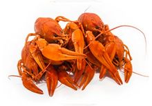 Раки варено-мороженные в рассоле, 500гр