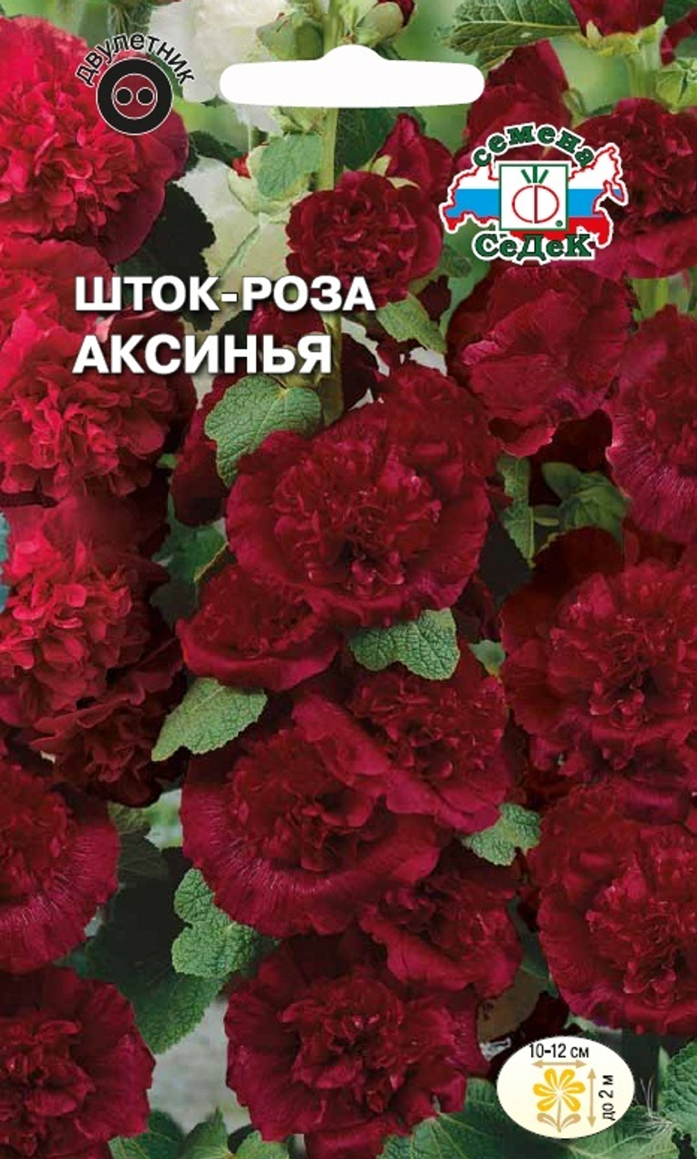 Шток-роза Аксинья Седек