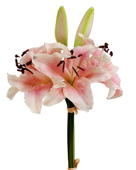 Букет лилий 4+2 - Светло-розовый