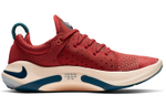 Кроссовки Nike Joyride Run 1 Fk (Женская размерная сетка)
