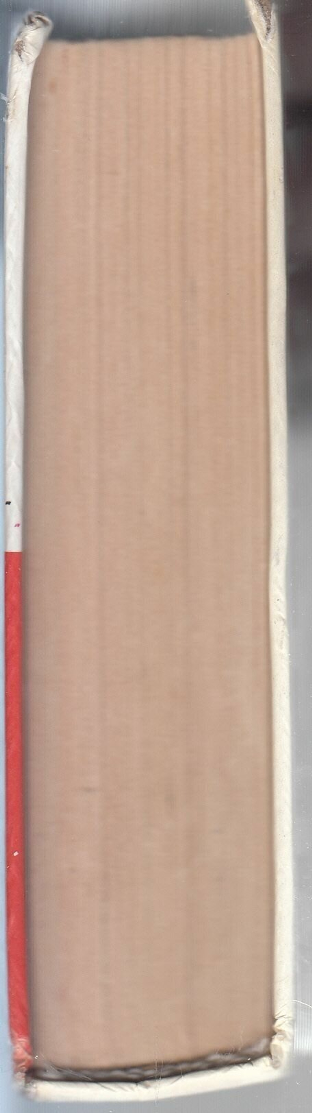 The Телки. Повесть о ненастоящей любви